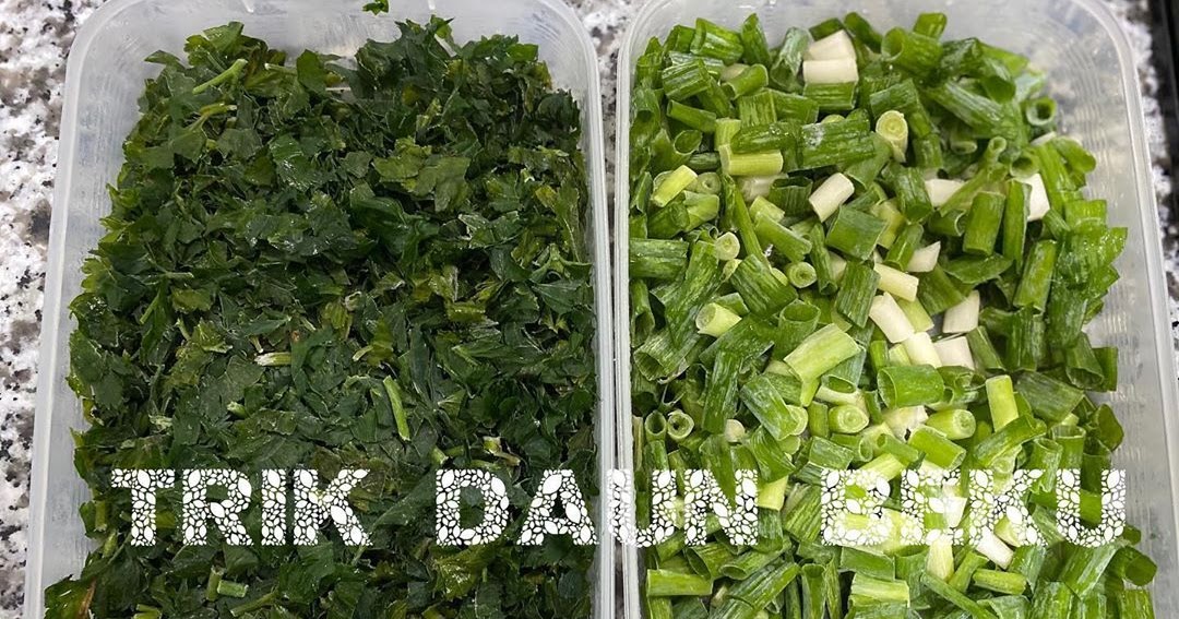 Tips Menyimpan Daun Bawang Seledri Jeruk Dan Salam Supaya Tetap Segar Dan Tahan Lama Resep Spesial