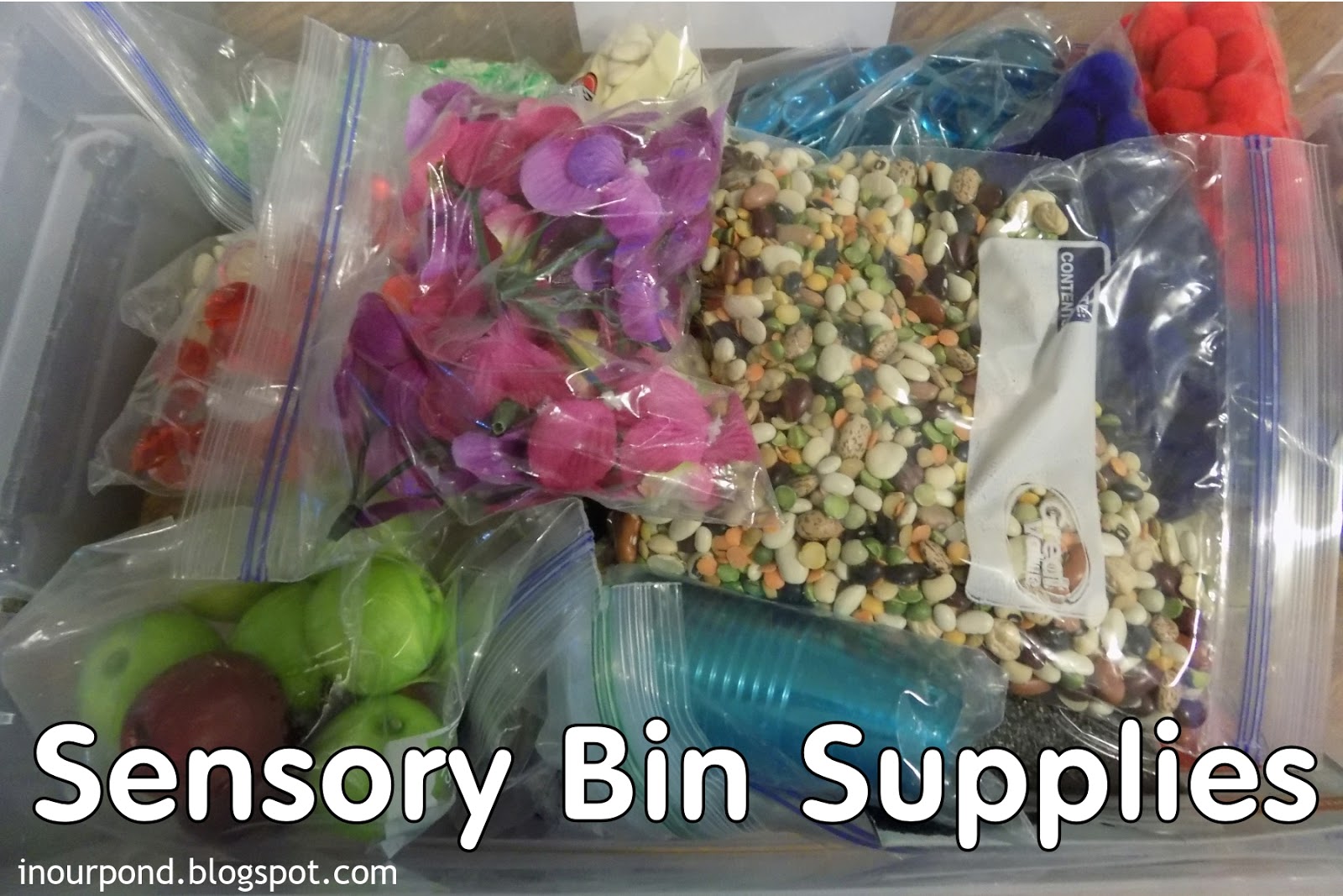 Sensory Bins Organization In Our Pond