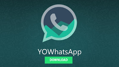 cara download yowhatsapp