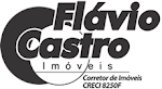 Site Flavio Castro