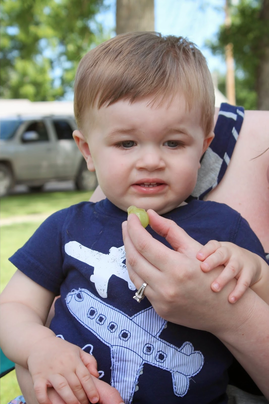 The Ginger{bred} House Alden Egg Days 2014 Weekend Wrapup