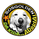 SOSGOLDEN