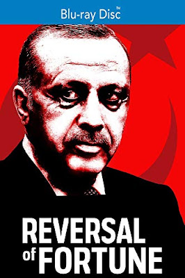 Reversal Of Fortune Turkeys Unraveling Democracy Bluray
