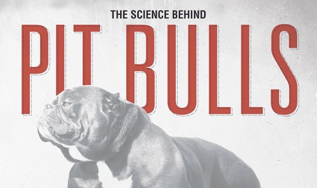 image: The Science Behind Pitbulls #infographic