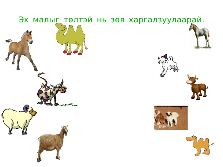 Хөгжилтэй бага нас