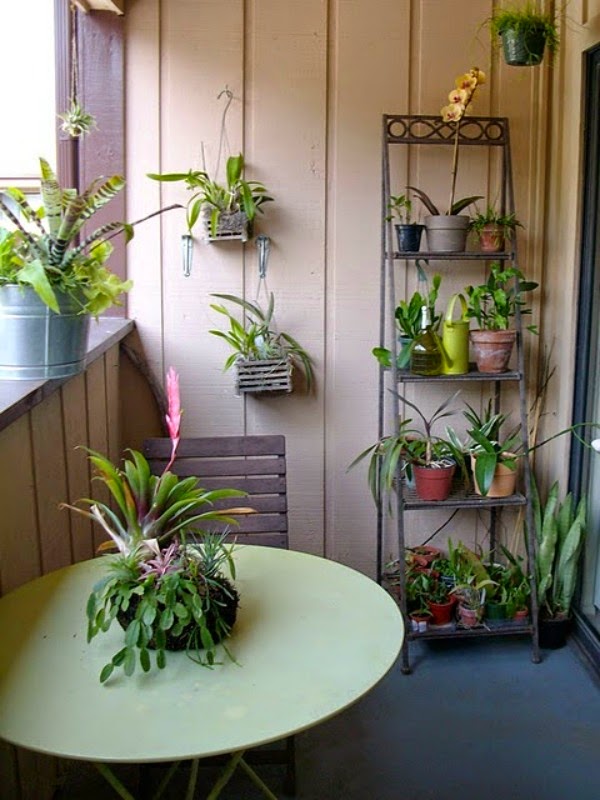 Decorar con orquídeas - Guia de jardin