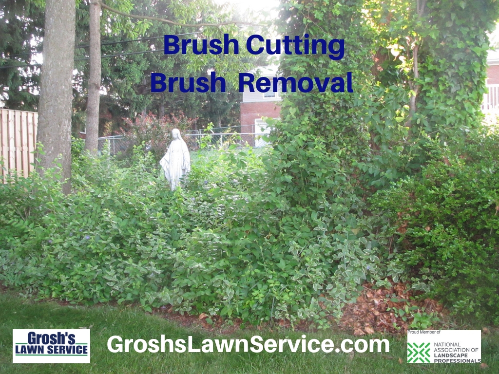Groshs Lawn Service Brush Cutting Landscaping Greencastle PA Franklin