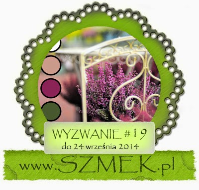 http://szmek-bloguje.blogspot.com/2014/09/19-wyzwanie-u-szmeka.html