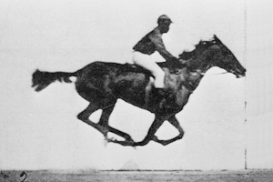 Galloping horse, animated in 2006, using photos by  Eadweard Muybridge.
