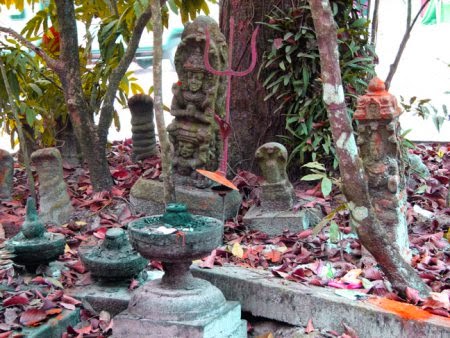 Snake Temple Mannarasala Kerala story in Hindi
