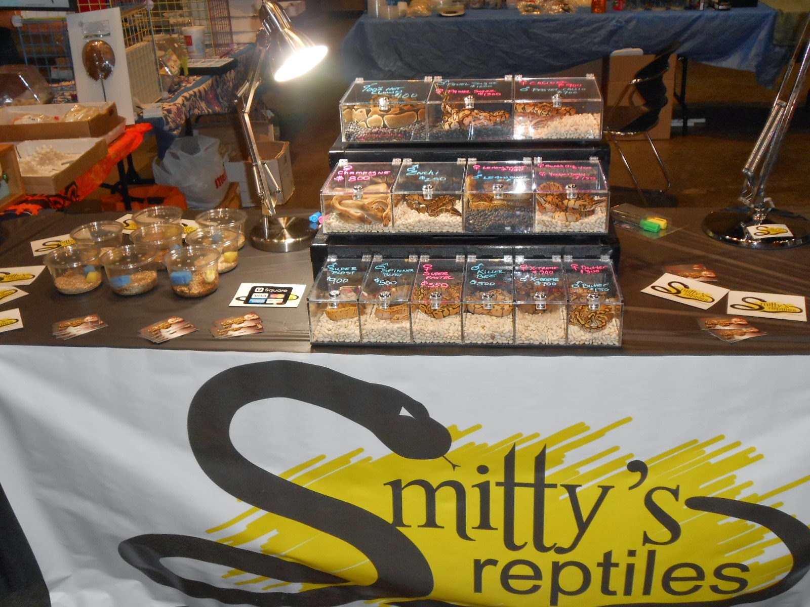 Evan Stahl Reptiles Awesome Reptile Show in Lansing Michigan Sunday