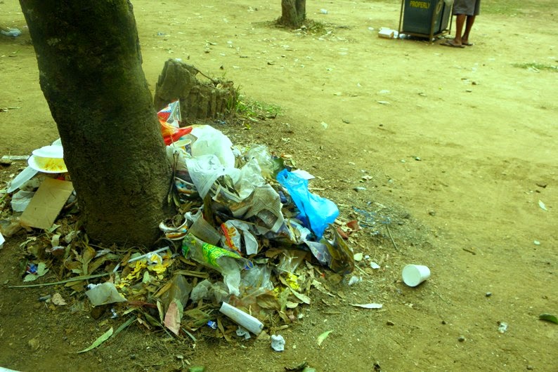 How The Panagbenga Festival Highlighted The Root Of Baguio City's