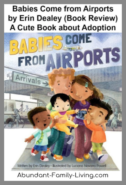 Babies Come from Airports by Erin Dealey