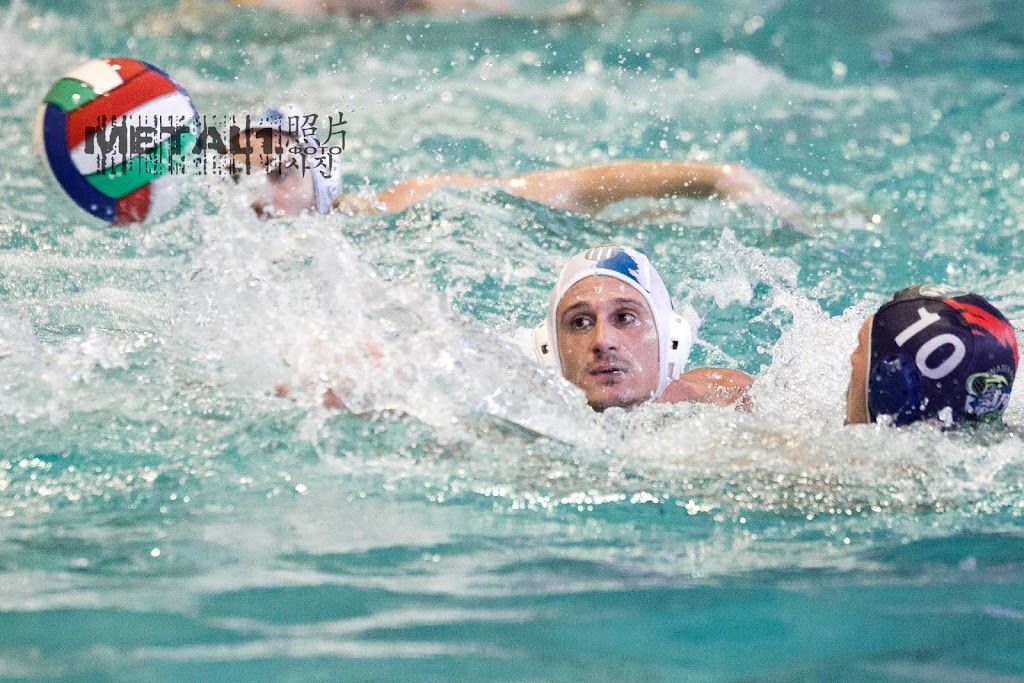 IMAGE: https://4.bp.blogspot.com/-7rnHrnr5o0k/VuWEmsPHAFI/AAAAAAAAEIY/yhuE-7BEciwKZwDowu77olI_hFDB_elRg/s1024/WM4094008.JPG