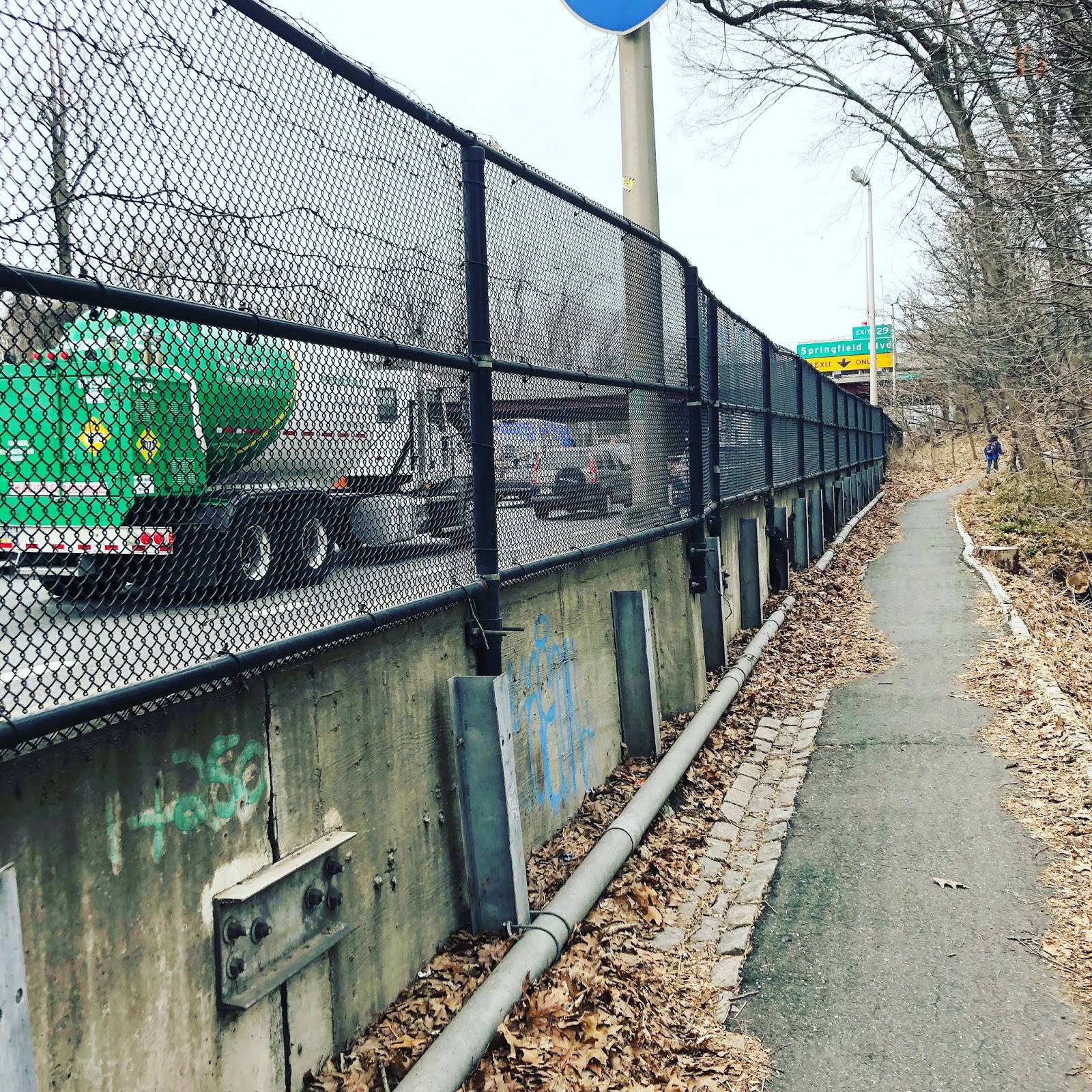 SMELL The Alley Pond Giant, the oldest living organism in New York