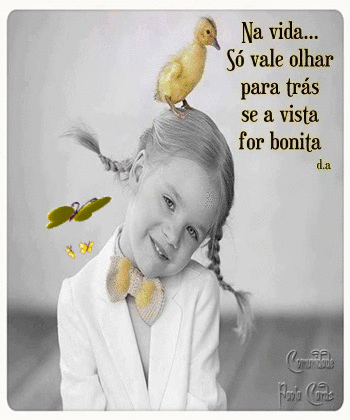 47907_5904123b7177333282ff1ad97a10ea0c17
