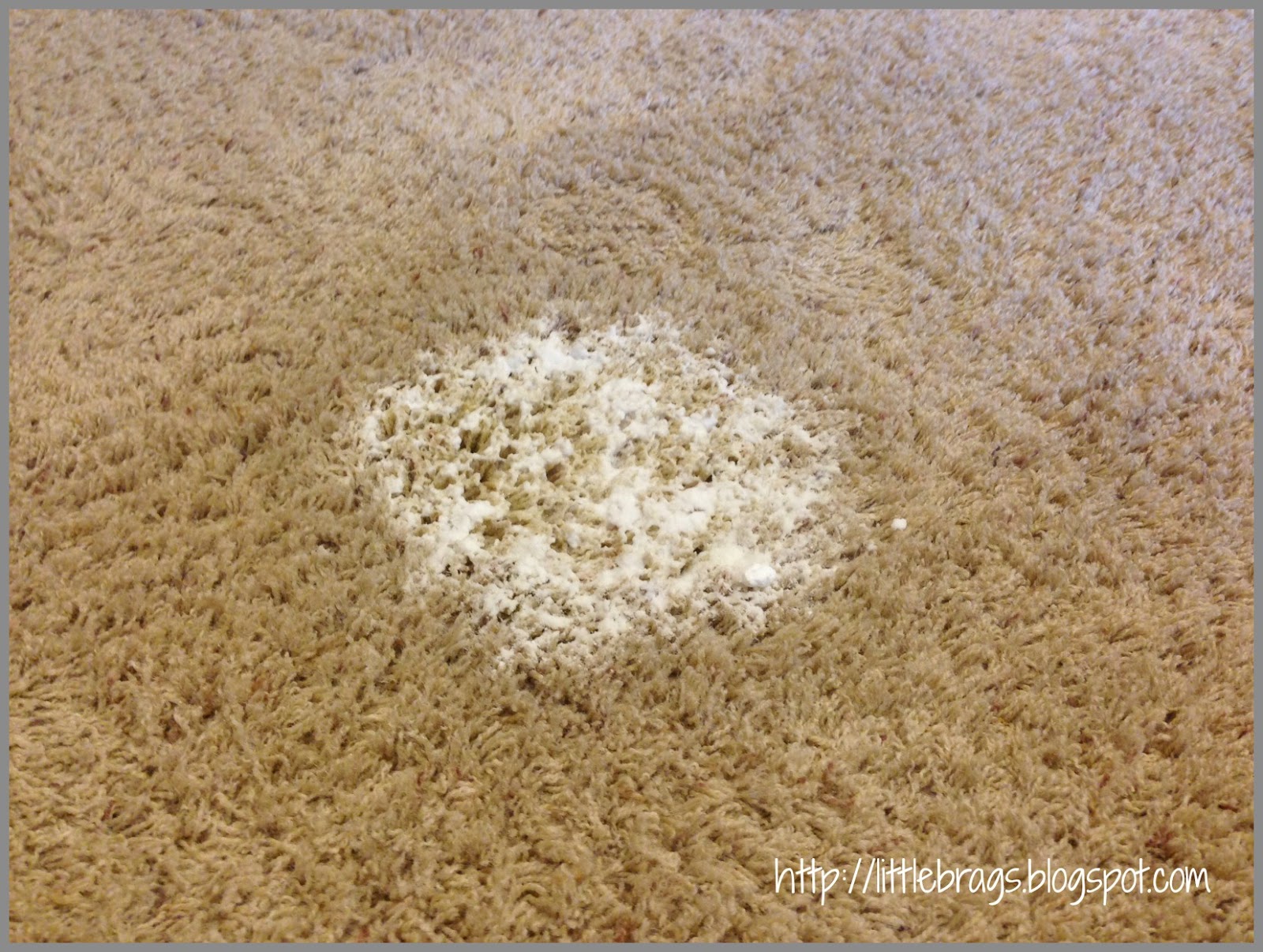Little Brags: How To Get Rid Of Pet Stains On Carpet