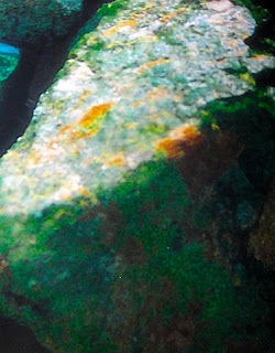 A jade bonanza A jade continuous bonanza