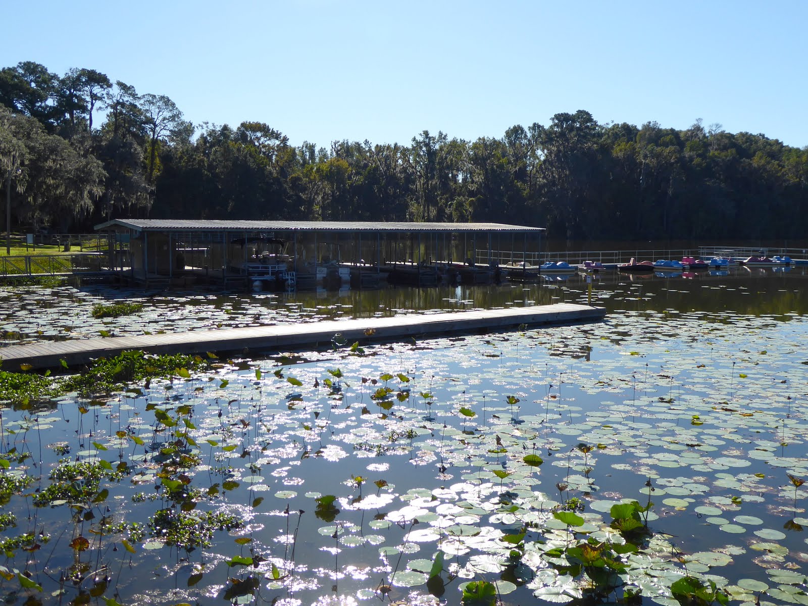 Retired Nomads Grassy Pond Military Recreation Park Lake Park, GA