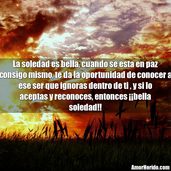 Metafísica Cuántica ¿QUÉ ES LA SOLEDAD?