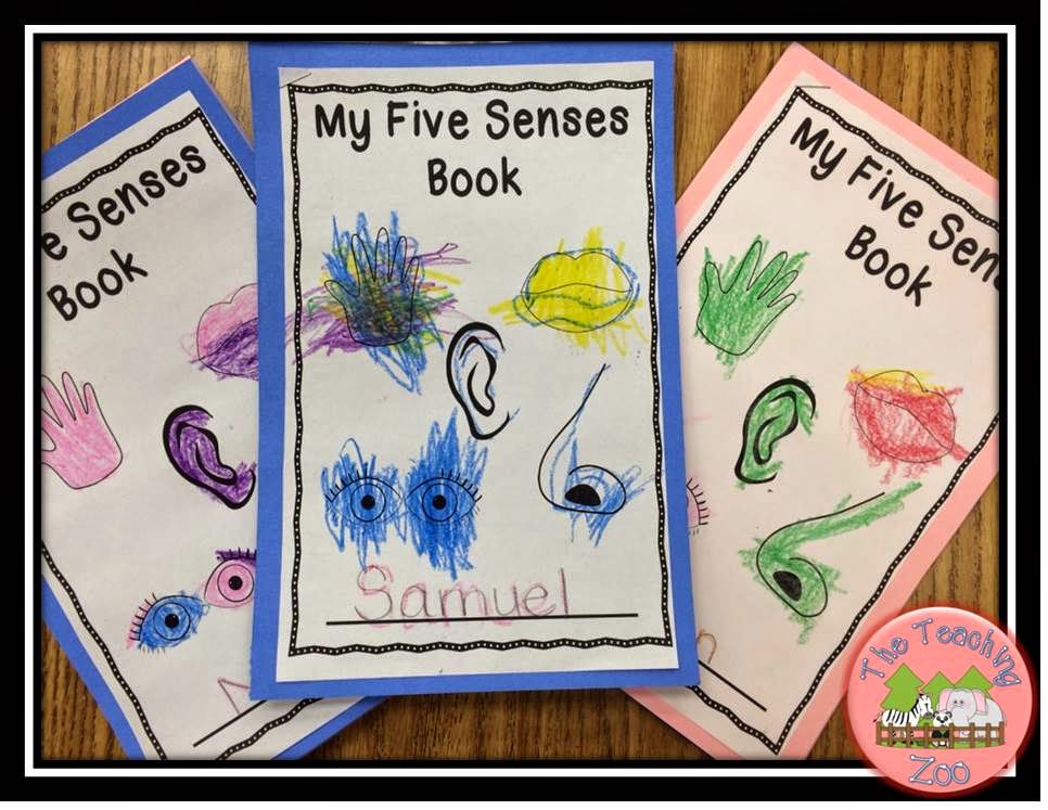 The Teaching Zoo: Five Senses