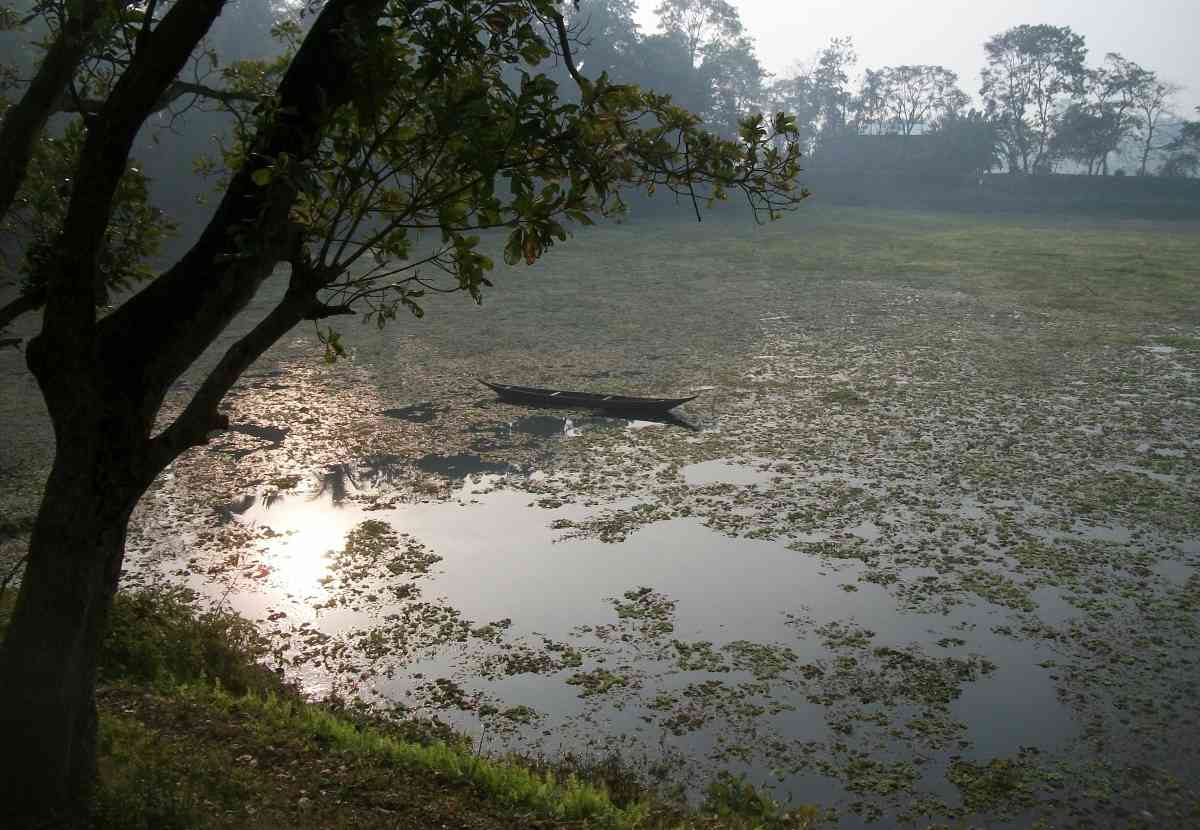Wetlands in Majuli
