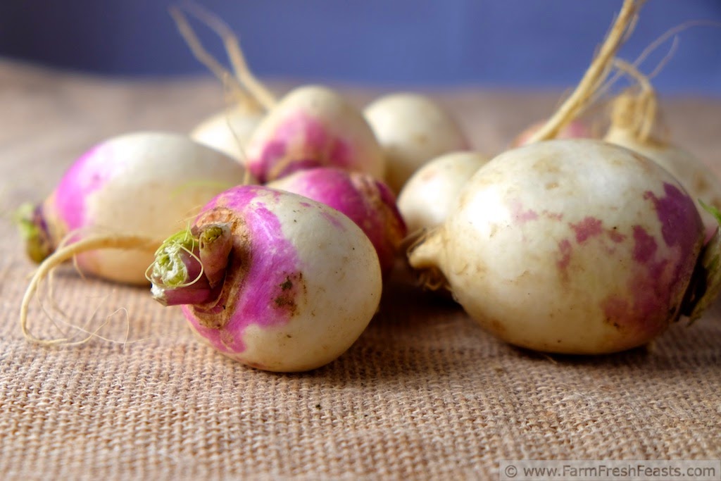 Farm Fresh Feasts Ham and Turnip Stew