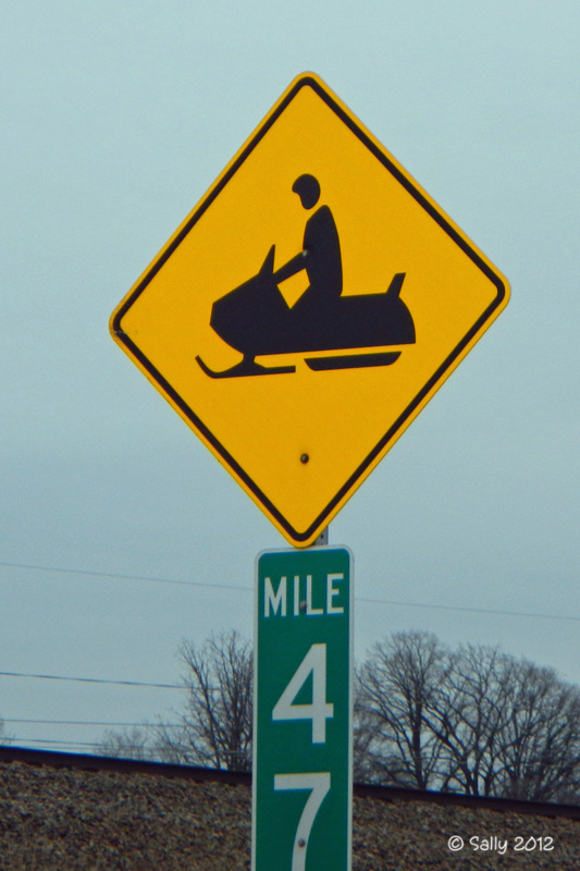 Sally Saw... Speaking of Snow