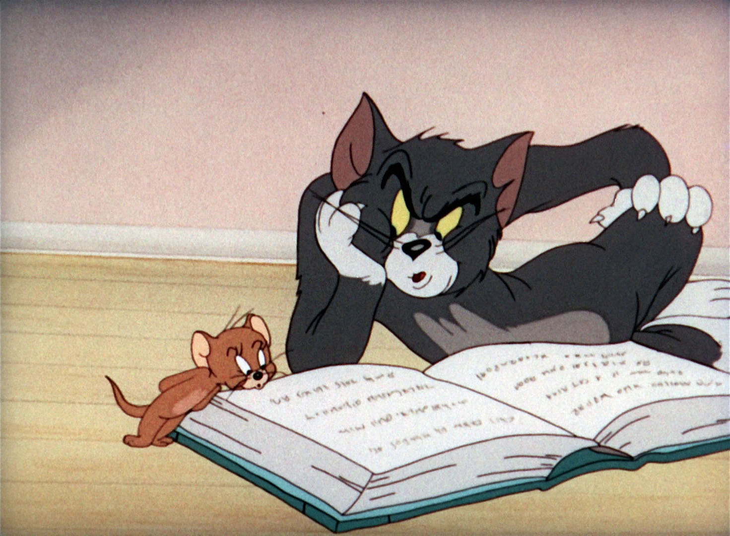 Читай том и ход. Том и Джерри. Кот том читает книгу.