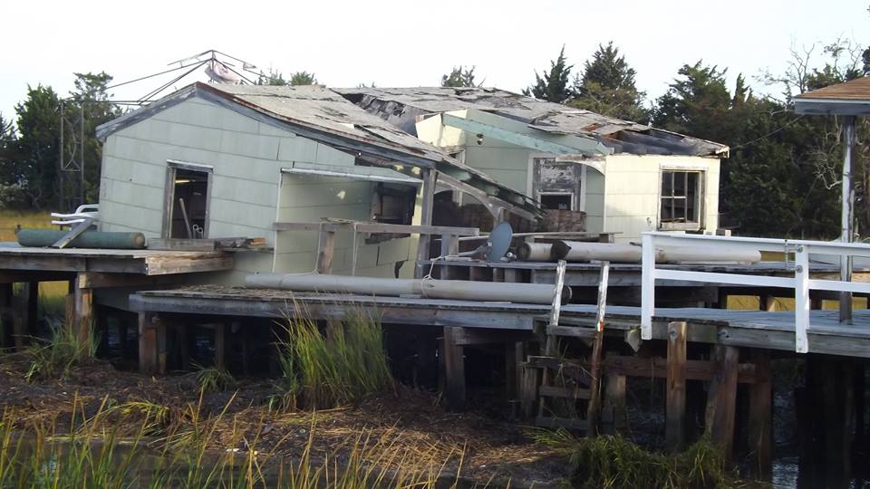 Wildwood 365 Grassy Sound A Profile of "True Grit"