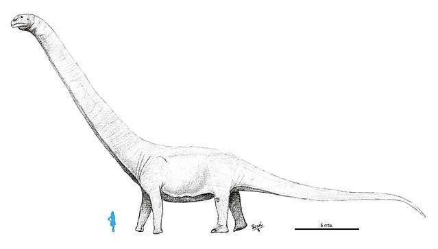 Patagotitan mayorum dinosaurus terbesar Patagotitan mayorum dinosaurus terbesar