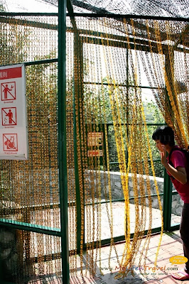 Hornbill Park Kuala Lumpur Bird Park