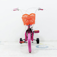 Sepeda Anak Asagi  Eva Girl