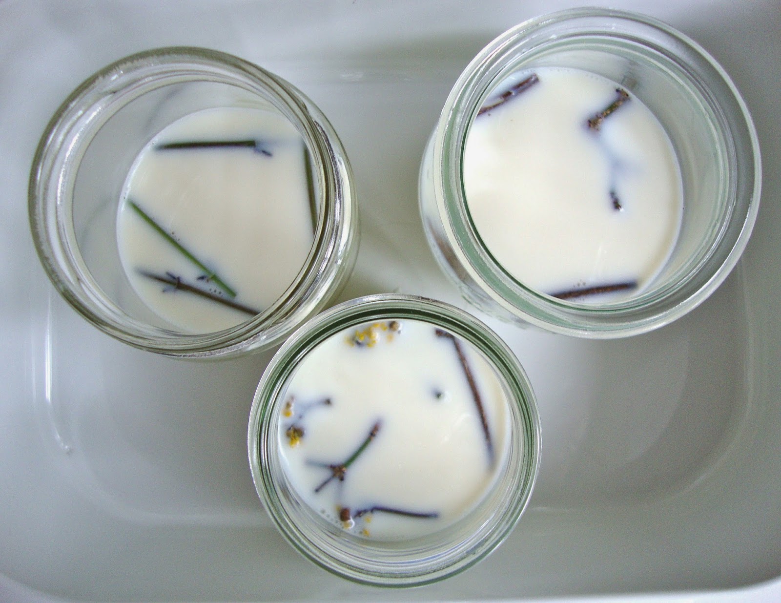 Cooketteria: Joghurtstarter aus Holz, Zweigen oder Blüten der Kornelkirsche