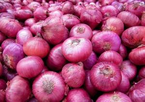 Benefits Of Onion Juice For Hair Growth Using onion juice is a sure-shot method to boosting hair growth and promoting hair regrowth. Onion juice for hair growth has received great reviews online from users with noticeable before and after results. Here are some possible reasons behind what makes this ingredient so effective: 