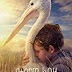 Storm Boy (2019)