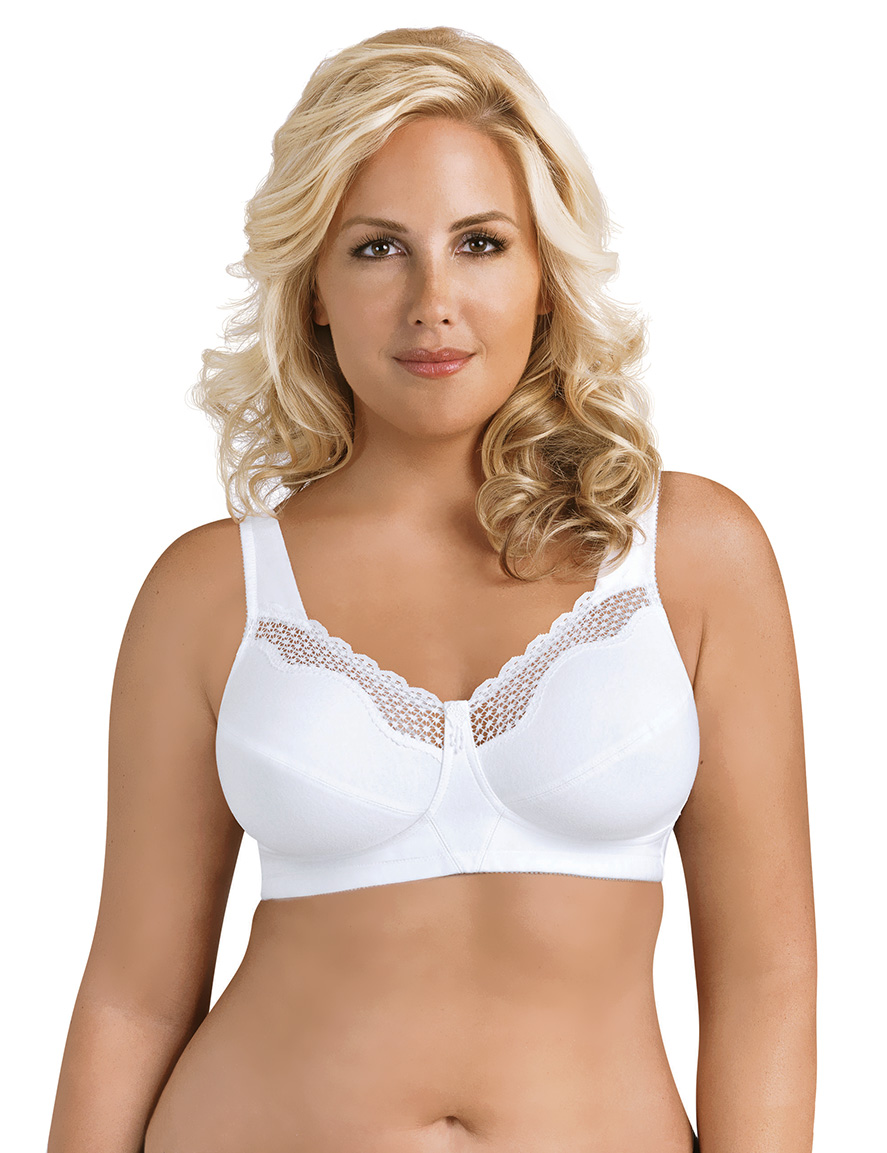 Best Bra World