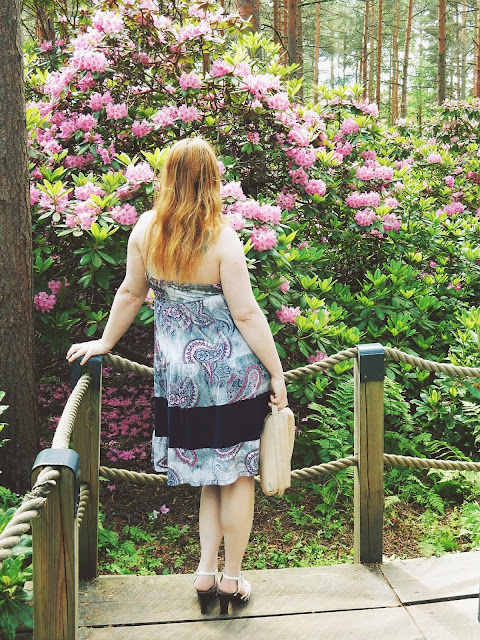 Haagan upea Alppiruusupuisto