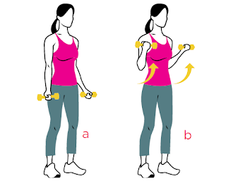 exercice pour maigrir les bras exercice pour maigrir les bras