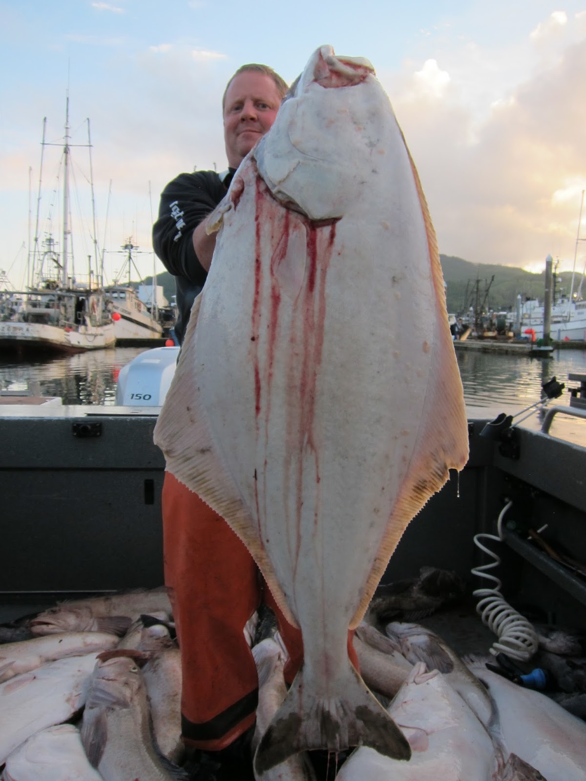 Todds Extreme Fishing Neah bay halibut, lingcod, rockfish