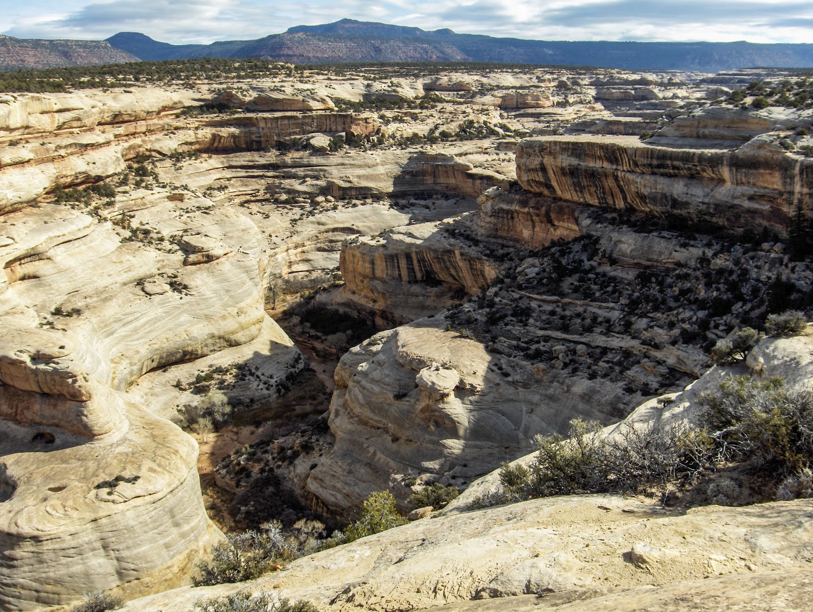 Walking Arizona White Canyon, Utah