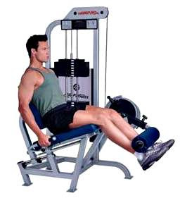 Weight training workout routine for ectomorph or thin men Weight training workout routine for ectomorph or thin men