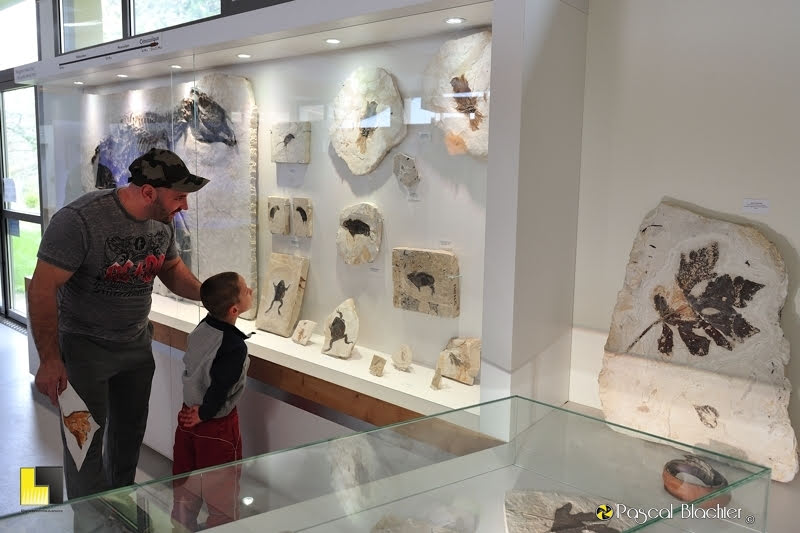 émerveillement en famille muséum balazuc ardeche photo Pascal Blachier