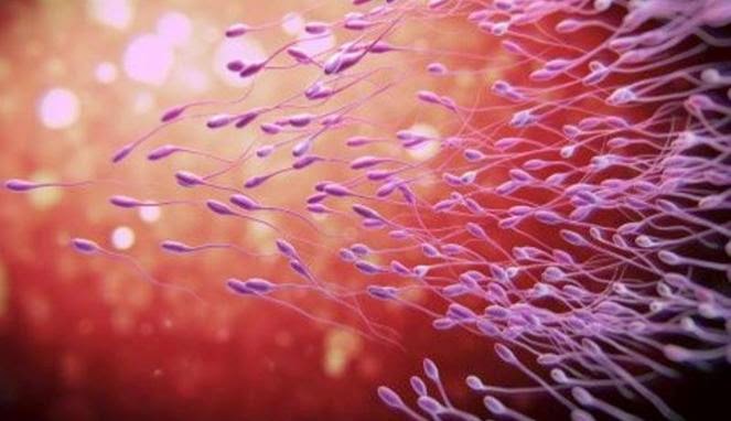 [[ Lelaki ]] 10 Sebab Membuatkan Sperma Lelaki Menjadi Lemah