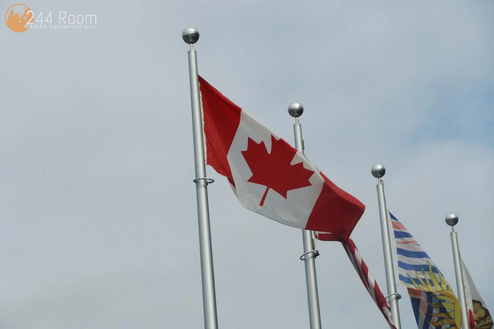 カナダ国旗　Canadian flag