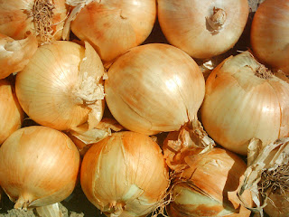 cebolla imagen cebolla
