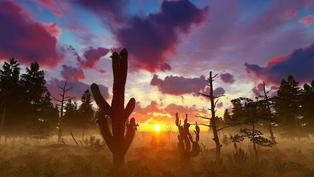 cactus dead tree and plants sunrise scenery 4k nature stock footage