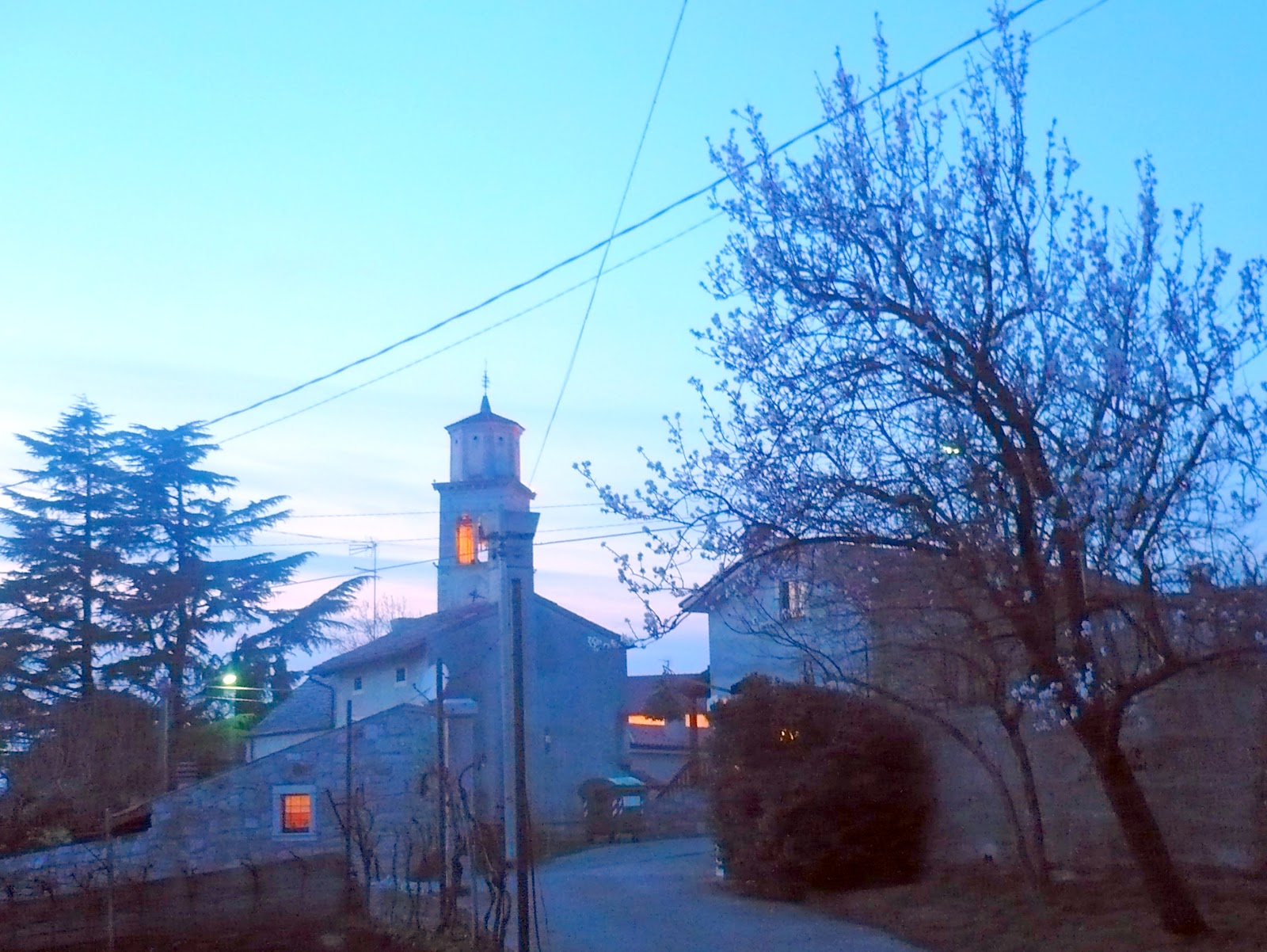 SCHEDE DELLE ESCURSIONI NEI DINTORNI DI TRIESTE Scheda *** OSMIZZA