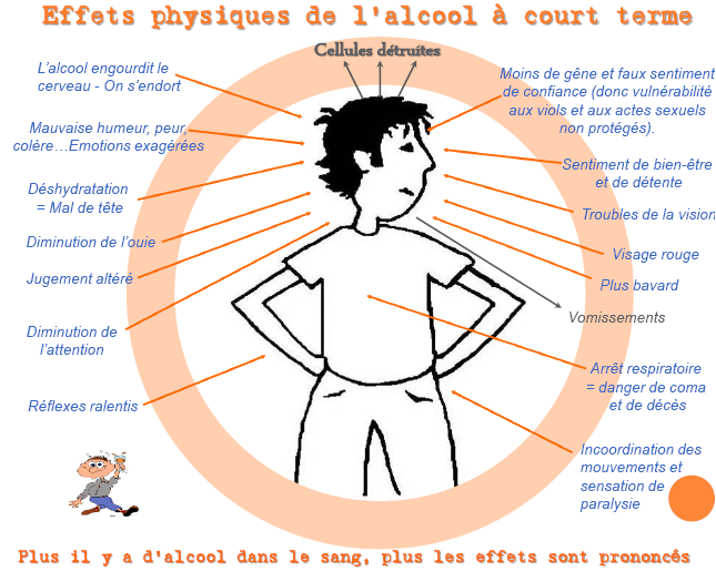 L'alcoolisme: Schéma sur les effets physiques de l'alcool