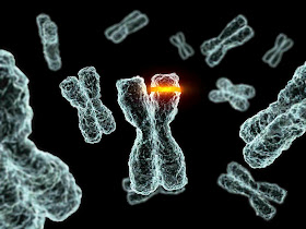 Mengapa DNA selalu berubah?
